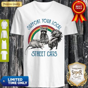 Cute Raccoon Support Your Local Street Cats V-neck
