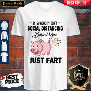 Pig If Somebody Isn’t Social Distancing Behind You Just Fart V-neck