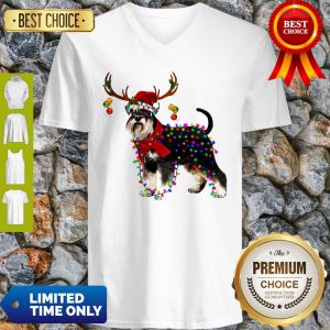 Yorkshire Dog Light Deer Merry Christmas V-neck