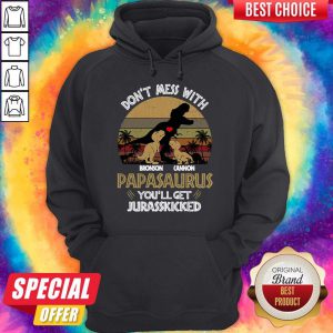 Don’t Mess With Bronson Cannon Papasaurus You’ll Get Jurasskicked Vintage Hoodie