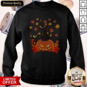 Nice Black Cats Pumpkin Halloween Sweatshirt
