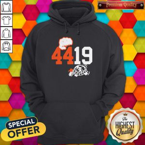 Top 4419 Shell Game Triblend Turtles Hoodie