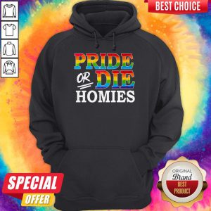 Awesome LGBT Pride Or Die Homies Hoodie