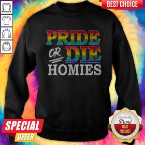 Awesome LGBT Pride Or Die Homies Sweatshirt