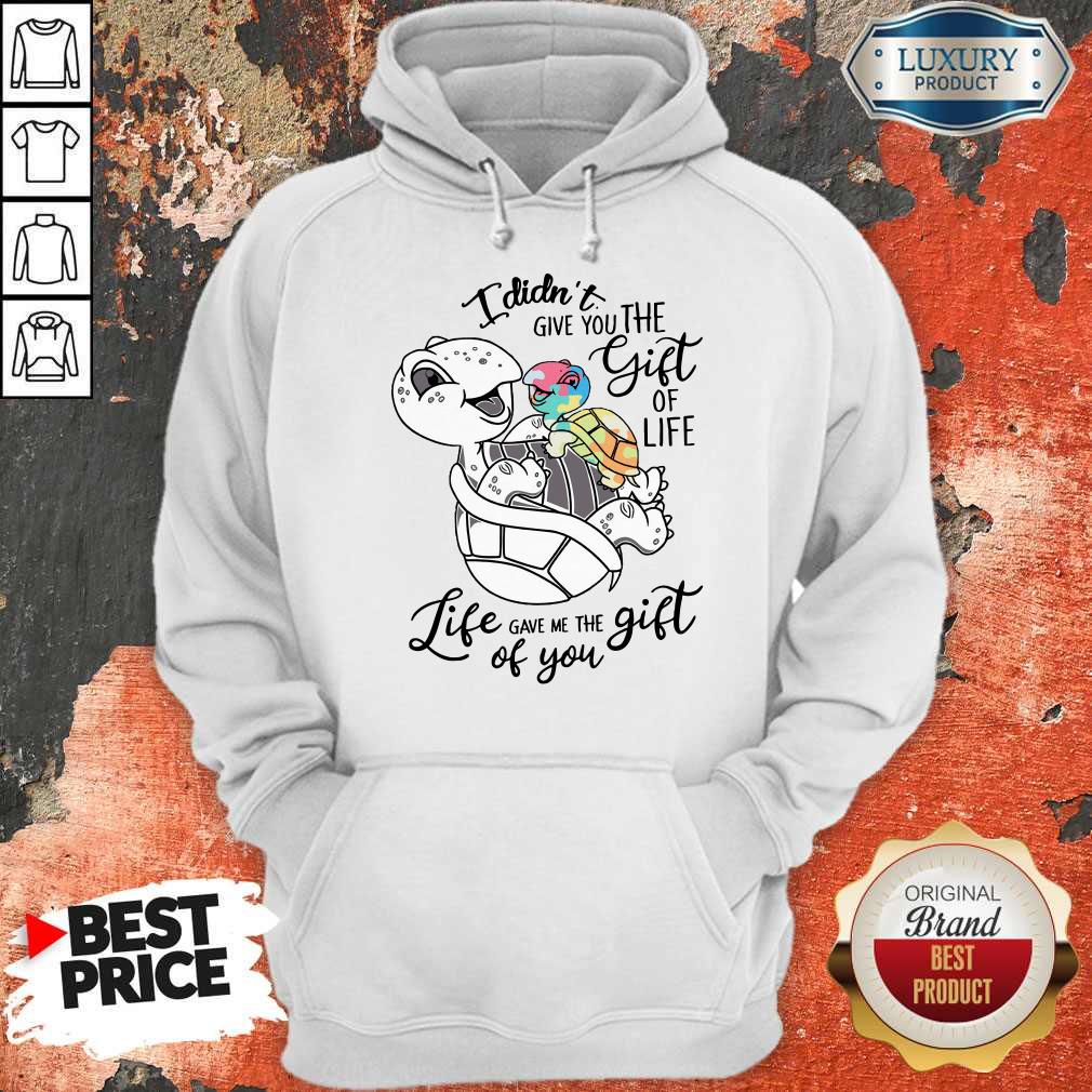 Nice Turtle I Didn't Give You The Gift Of Life Life Gave Me The Gift Of You Hoodie