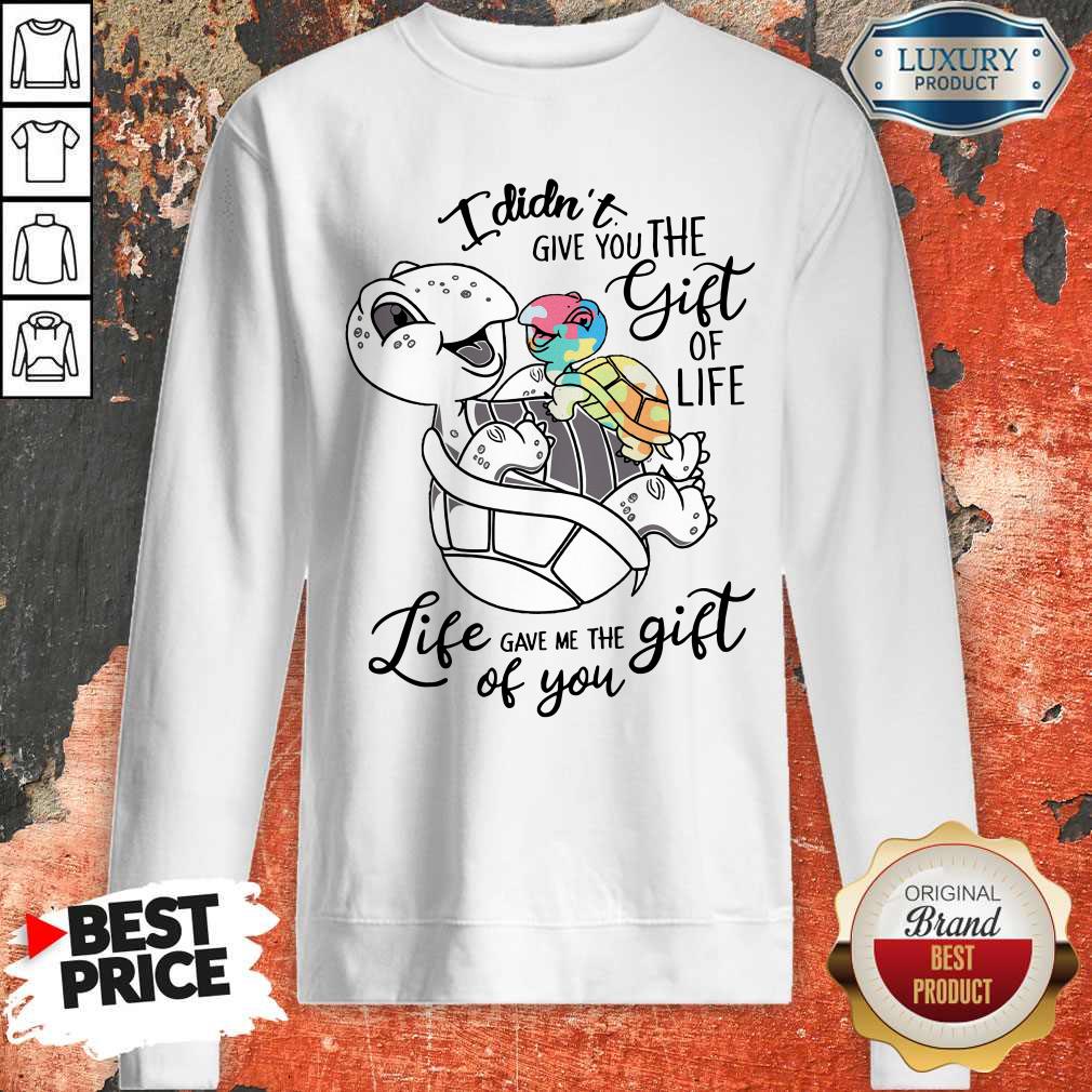 Nice Turtle I Didn't Give You The Gift Of Life Life Gave Me The Gift Of You Sweatshirt