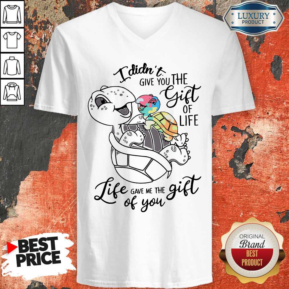 Nice Turtle I Didn't Give You The Gift Of Life Life Gave Me The Gift Of You V-neck