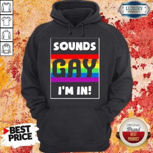 Premium Sounds Gay I'm In Hoodie