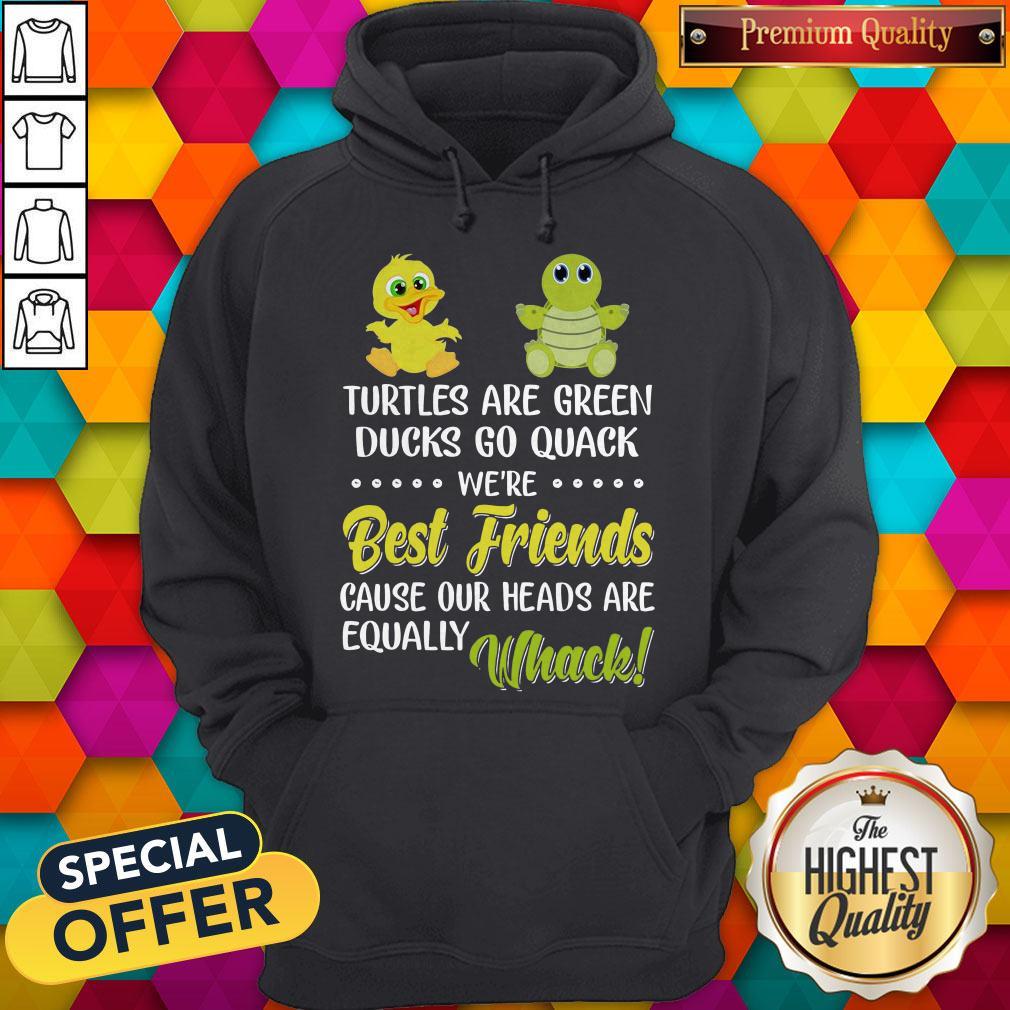 Turtles Are Green Ducks Go Quack We’re Best Friends Because Our Heads Are Equally Whack Hoodie Turtles Are Green Ducks Go Quack We’re Best Friends Because Our Heads Are Equally Whack Hoodie