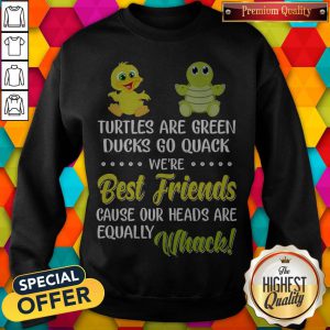 Turtles Are Green Ducks Go Quack We’re Best Friends Because Our Heads Are Equally Whack Sweatshirt