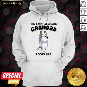 Bandit Heeler This Is What An Awesome Grandad Looks Like Hoodie
