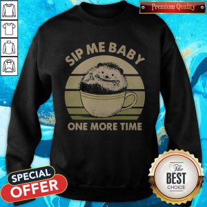 Funny Hedgehog Sip Me Baby One More Time Vintage Sweatshirt