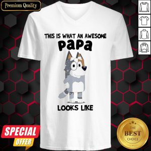 Nice Bandit Heeler This Is What An Awesome Papa Looks Like V-neck
