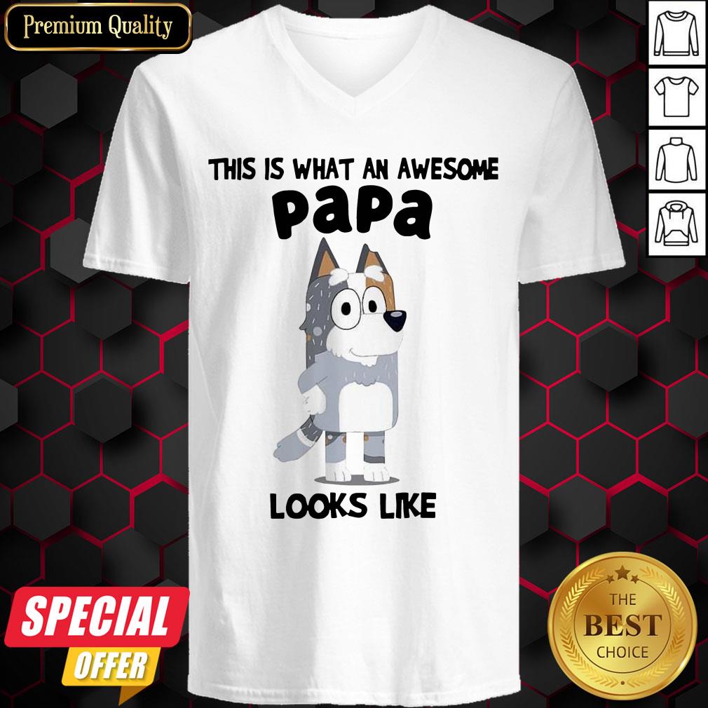 Nice Bandit Heeler This Is What An Awesome Papa Looks Like Shirt Nice Bandit Heeler This Is What An Awesome Papa Looks Like V-neck