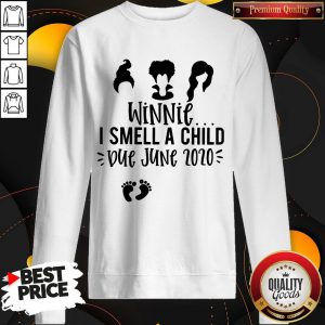 Nice Hocus Pocus Winnie I Smell A Child Due June Zozo Sweatshirt