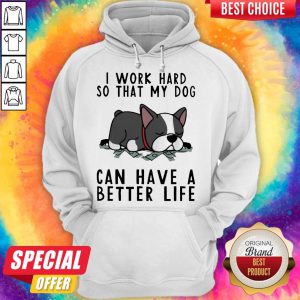 Nice Pug Dog I Work Hard So That My Dog Can Have A Better Life Hoodie
