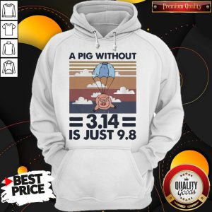 Pretty A Pig Without 314 Is Just 98 Vintage Hoodie