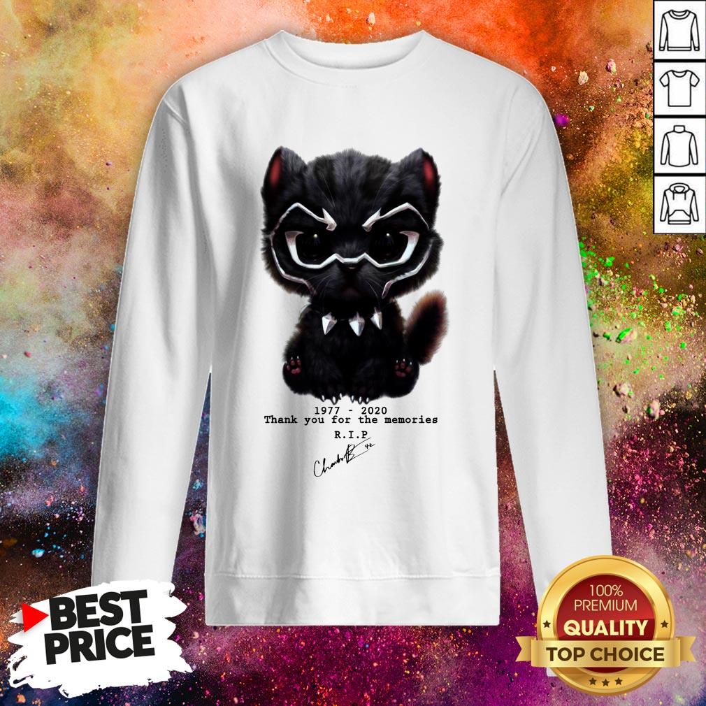 Rip Chadwick Boseman Shirt Rip Chadwick Boseman Sweatshirt