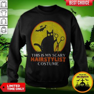 Halloween Black Cat This Is My Scary Hairstylist Costume Sunset Sweatshirt