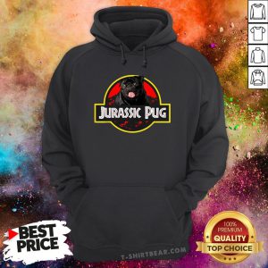 Premium Jurassic Pug Hoodie - Design By T-shirtbear.com