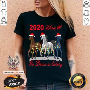 Cute Three Horse 2020 You Will Go Down In History Christmas V-neck - Design By T-shirtbear.com
