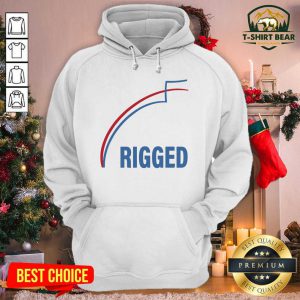 Rigged Election 2020 Fraud Hoodie - Design by T-shirtBear.com
