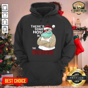 There’s Some Hos In This House Santa Claus Christmas Hoodie - Design by T-shirtbear.com