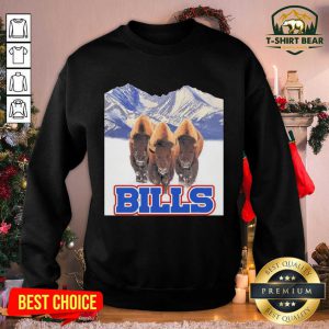 Buffalo Bills NFL Sweatshirt - Design by T-shirtbear.com
