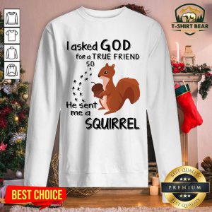 I Asked God For A True Friend So He Sent Me A Squirrel Sweatshirt - Design by T-shirtbear.com