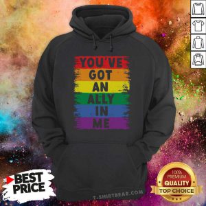 Good You Have Got An Ally In Me Rainbow Pride Flag Hoodie - Design by T-shirtbear.com