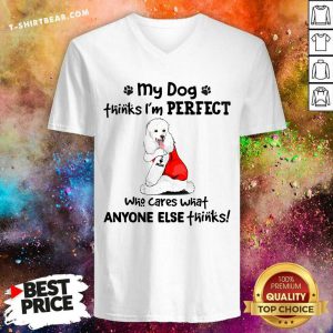 Poodle My Dog Thinks I Am Perfect V-neck - Design by T-shirtbear.com