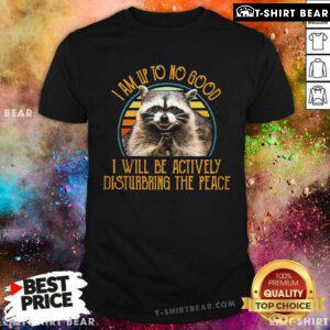 Funny Raccoon I Will Be Actively Disturbing The Place T-Shirt