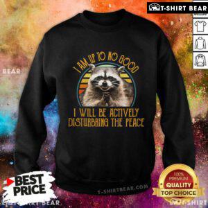 Funny Raccoon I Will Be Actively Disturbing The Place Sweatshirt