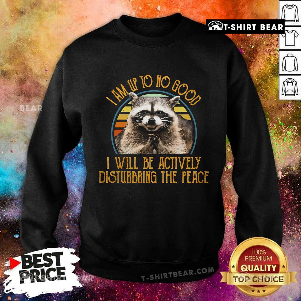 Funny Raccoon I Will Be Actively Disturbing The Place Sweatshirt