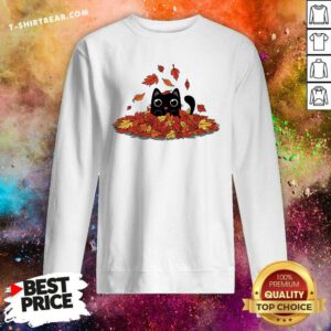 Good Cute Kitty Leaves Cat Sweatshirt