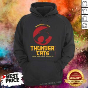 Pretty Thundera 1985 Thunder Cats Hoodie