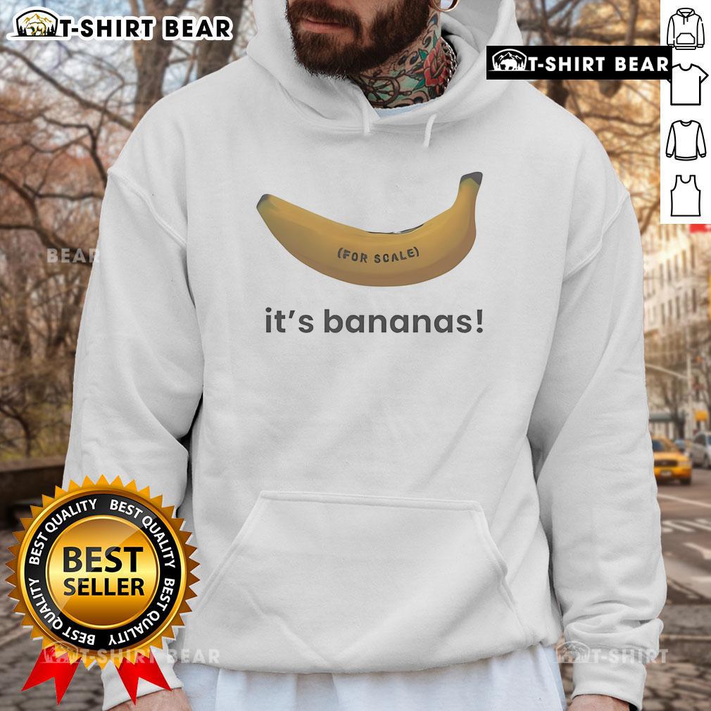 Official SpaceX Starship Flight 6 hoodie featuring 'It's Bananas' design, perfect for Elon Musk fans and space enthusiasts.