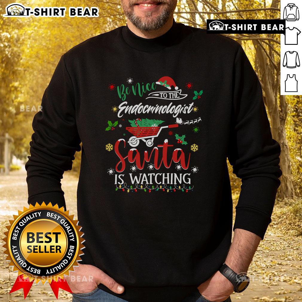 Premium Be Nice to the Endocrinologists Christmas sweatshirt for hormone doctors, featuring festive design and cozy fit.