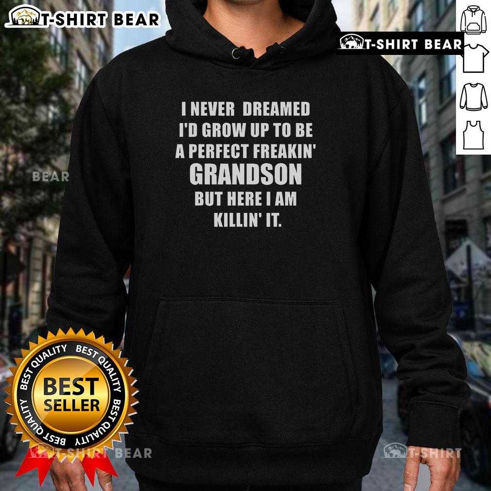Cozy 'I Never Dreamed I'd Grow Up to Be a Perfect Grandson' hoodie, perfect gift for grandsons celebrating family love.