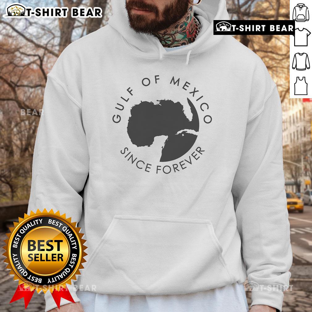 Top Historical Geography hoodie featuring a detailed Gulf of Mexico map design, perfect for geography enthusiasts.