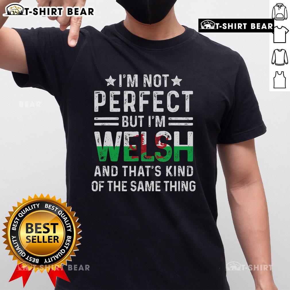 Alt Text: Top I'M Not Perfect But I'M Welsh T-Shirt showcasing a fun design celebrating Welsh identity and pride.