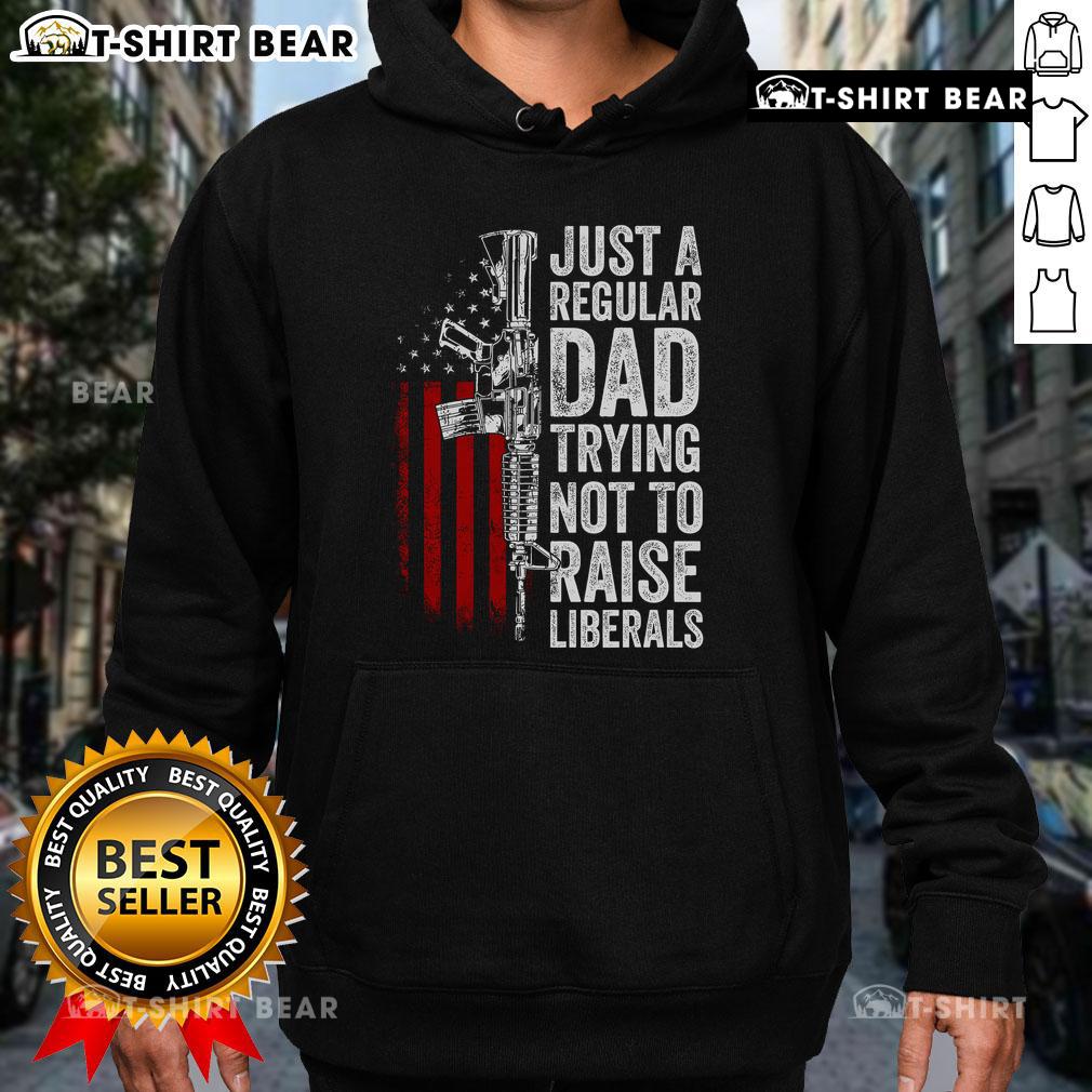 Top Just A Regular Dad Trying Not To Raise Liberals Hoodie featuring a humorous slogan in bold letters on a casual sweatshirt.