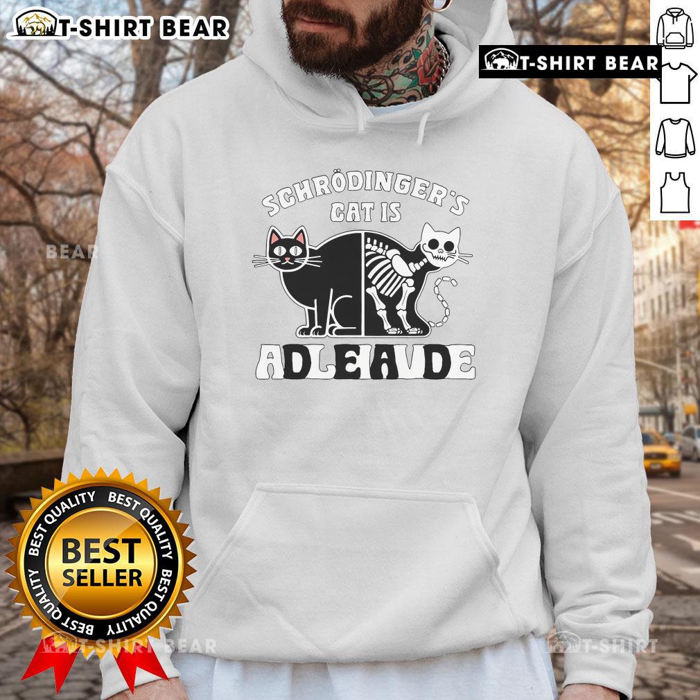 Top Schrodinger's Cat Dead and Alive Quantum Physics Hoodie featuring a whimsical cat design and vibrant colors.