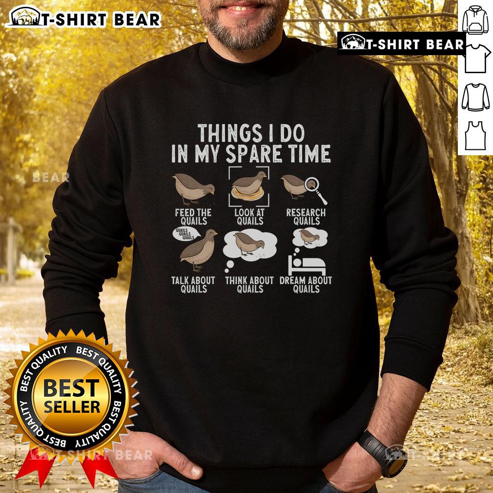 Cozy 'Top Things I Do In My Spare Time' Quail Bird Lover Sweatshirt, perfect for bird enthusiasts and casual wear.