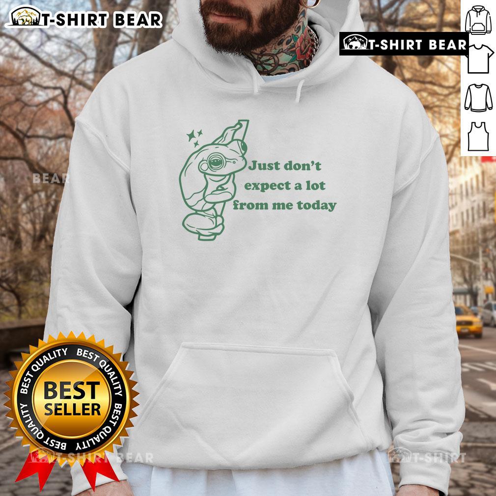 Alt Text: Cute frog hoodie featuring the phrase Just Don't Expect A Lot From Me Today, perfect for casual wear and humor.
