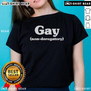 Stylish Top Tommy Bowe Gay Non-Derogatory Ladies Tee in vibrant colors, perfect for casual outings and showing support.