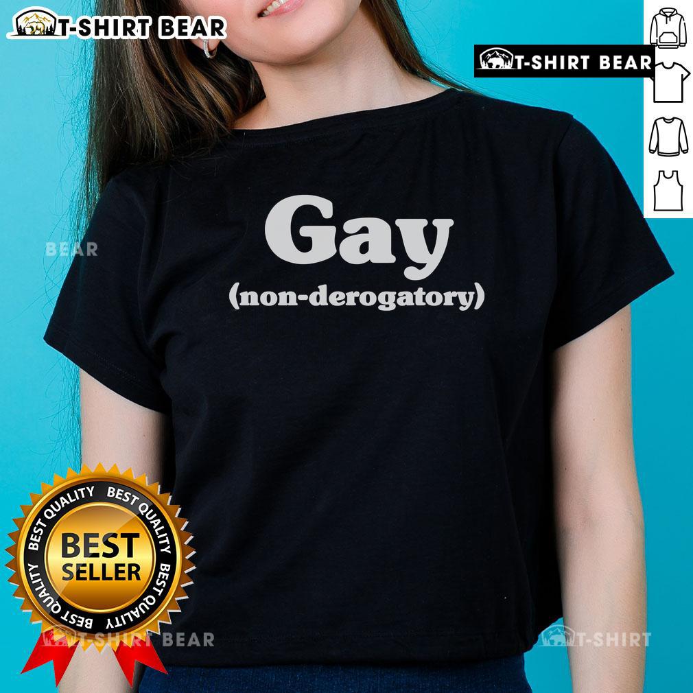 Stylish Top Tommy Bowe Gay Non-Derogatory Ladies Tee in vibrant colors, perfect for casual outings and showing support.