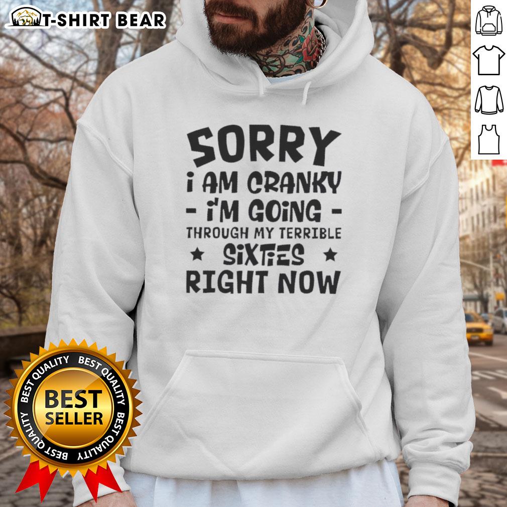 Cozy hoodie with 'Pretty Sorry, I Am Cranky, I'm Going Through My Terrible Sixties Right Now' printed design.