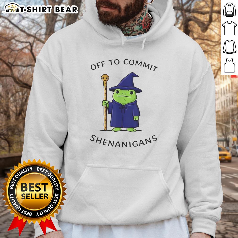 Good Frog Wizard hoodie featuring a whimsical quote, perfect for fans of magic and mischief in stylish apparel.