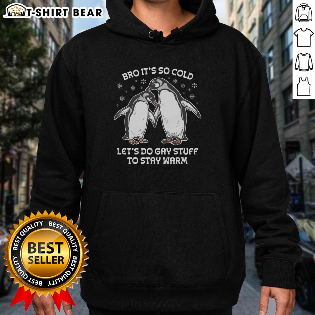 Cozy hoodie with 'Pretty Bro It's So Cold, Let's Do Gay Stuff to Stay Warm' design, perfect for winter warmth and style.
